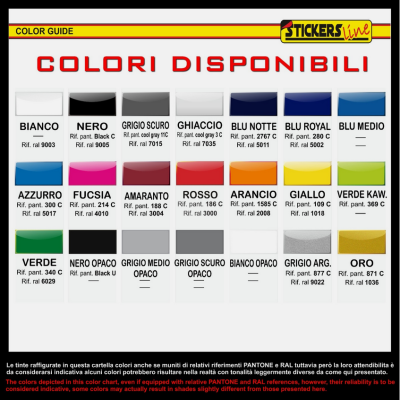 Adesivi valigie laterali Moto BMW R 1300 GS adventure planisfero Colori a scelta