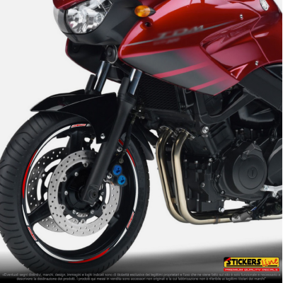 Adesivi ruote moto strisce cerchi Yamaha TDM 850 - 900 fino al 2014 (18+17 P.)R3