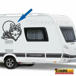 Adesivo per camper LUPO della Foresta compatibile adria arca elnagh rimor ecc