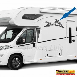 Adesivo per camper cormorano volatile uccello roulotte,furgoni,barche 90x35 cm