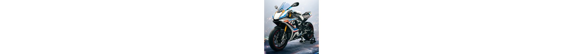 ADESIVI PER MOTO
