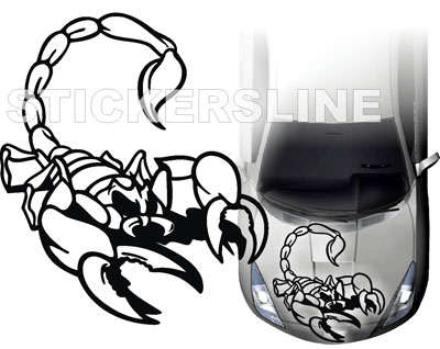 scorpion.jpg